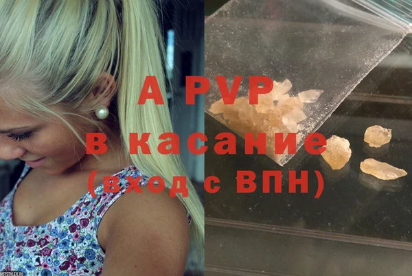 стаф Майский