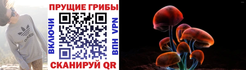 hydra сайт Костомукша Псилоцибиновые грибы MAGIC MUSHROOMS