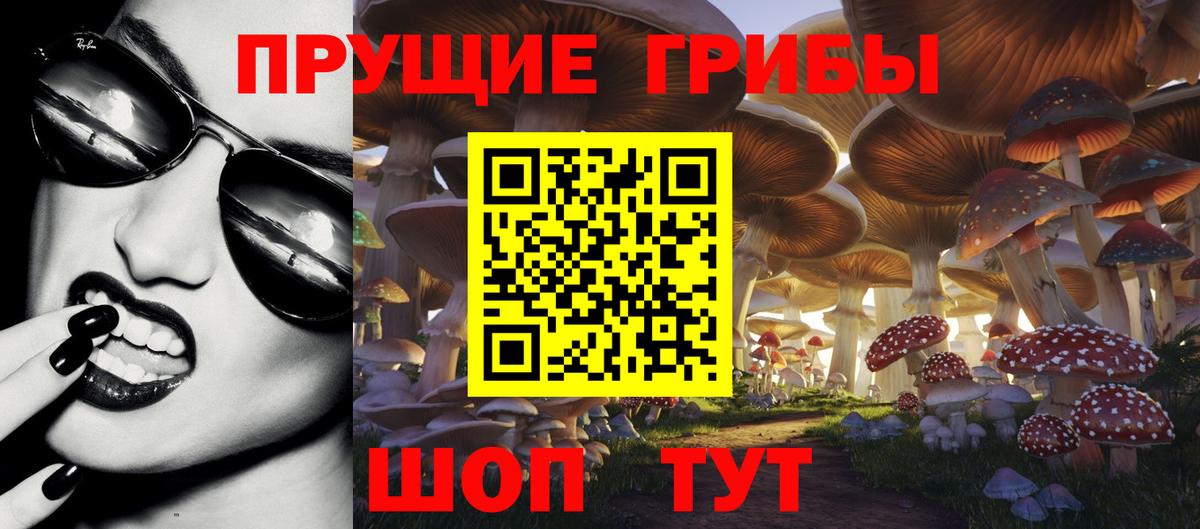 Галлюциногенные грибы GOLDEN TEACHER  Вход с VPN  хочу наркоту  Костомукша 