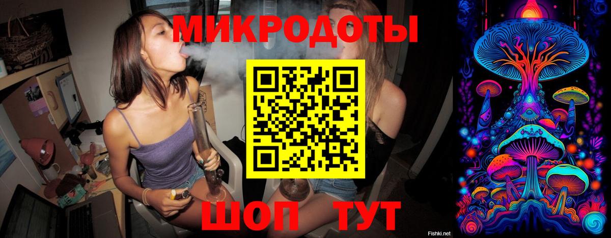 Галлюциногенные грибы Psilocybe Костомукша